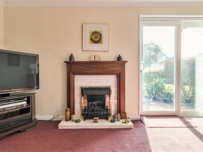 Picture 7